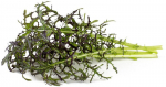 Raudonos spalvos garstyčios Smart Garden Click & Grow, 3 vnt