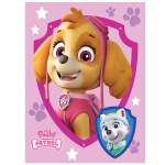 Jerry Fabrics pledas Paw Patrol 130x170 cm