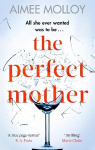Perfect Mother: A gripping thriller with a nail-biting twist