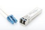Digitus