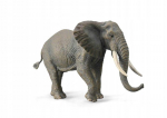 Collecta 88966 - Afrikos dramblys, stovintis