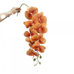 3D spausdinta drugelių orchidėja, Mandarinų &scaron;akelė