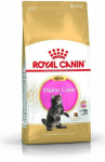 Royal Canin Meino Me&scaron;kėno kačiukams, 4 kg