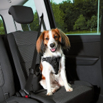 Automobilinis &scaron;uo diržas - Dog Protect - S-M - Tvirtas nailonas - Padeenaplinkos komfortas - Sustiprinta sauga