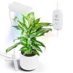 DIIVOO LED augalų lempa su Bluetooth B0BKQB7MMJ