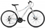 Dviratis Romet Orkan 1 D 2025 white-blue-15" / S