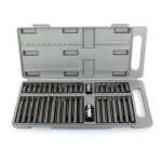 40 vnt. bitų rinkinys: Torx, Imbus, Spline su adapteriais 1/2", 3/8"