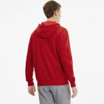 Puma Laisvalaikio Džemperis Vyrams TeamGoal 23 Casuals Hooded Red 656708 01 656708 01/M