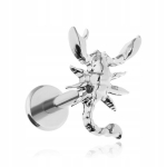 Titano Labret Auskaras Skorpionas Sidabrinis Helix Lobe 1.2/6mm