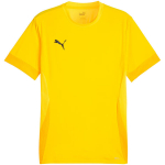 Vyri&scaron;kas mar&scaron;kinėlis Puma teamGoal Matchday Jersey, geltonas, 705747 07