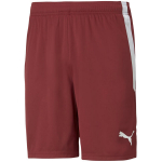 Puma teamLIGA vyri&scaron;kos bordo spalvos &scaron;ortai 704924 09