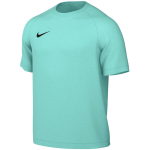 Vyri&scaron;kas mar&scaron;kinėlis Nike Dri-Fit Park VIII, mėtų spalvos, HV8173 354, XS