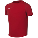 Vaiki&scaron;kas mar&scaron;kinėlis Nike Dri-Fit Academy II, raudonas, HV8168 657