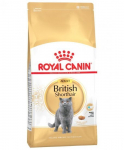 Royal Canin britų trumpaplaukėms katėms, 2 kg