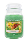 Kvapioji žvakė Yankee Candle Beautiful Day 623 g