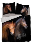 Patalynės komplektas 220x200, 3 dalių