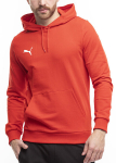 Džemperis vyrams Puma Team Goal Casuals Hoody 658618 01, raudonas