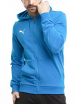 Džemperis vyrams Puma Team Goal Casuals Hooded 658595 02, mėlynas