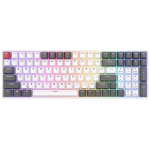 ROYAL KLUDGE RK100 White-Grey, Brown Switch, US