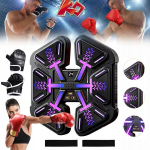 Led bokso ma&scaron;ina, bokso mai&scaron;as, sieninis laikiklis boksui, bluetooth