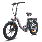 Elektrinis miesto dviratis Fafrees F20 Pro 20" , pilkos spalvos