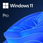 Operacinė sistema Windows 11 Pro 64Bit Eng Intl 1pk DSP OEI DVD FQC-10528