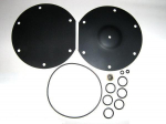 DN Autogas Parts SGI reduktoriaus remonto komplektas Prins VSI 4390