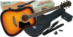 Rinkinys akustinei gitarai Ibanez V50NJP VS