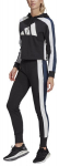 Sportinis kostiumas moterims Adidas W Ts Big Logo Black White, juodas