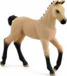 Figūrėlė Hanoverio veislės kumeliukas Schleich