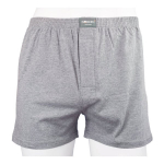 Trumpikės vyrams Nordic, pilkos