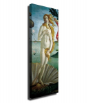 Reprodukcija Veneros gimimas (Sandro Botticelli)