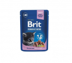Brit Premium White Fish &scaron;lapias kačių maistas 100 g