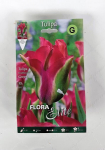 Tulpės Green Love Flora Elite, 7 vnt