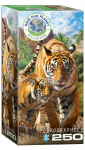 Dėlionė Eurographics, 8251-5559, Tigers, 250 d.