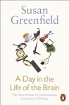 A Day in the Life of the Brain: The Neuroscience of Consciousness from Dawn Till Dusk