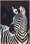 Pie&scaron;imo rinkinys Zebras 50x33
