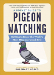 Pocket Guide to Pigeon Watching: Getting to Know the World's Most Misunderstood Bird