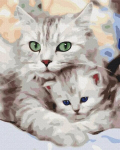 Tapyba pagal skaičius Mama katė Symag, 40x50 cm