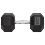 vidaXL Svarmenys, 2vnt., 20kg