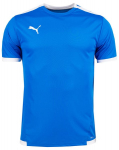 Mar&scaron;kinėliai vyrams PumateamLiga Jersey 704917 02, mėlyni