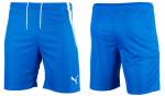 &Scaron;ortai vyrams Puma teamLiga 704924 02, mėlyni