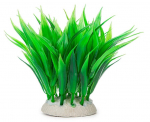 Folijos augalas 10cm 1f08 Happet