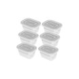 Rotho Freeze maisto laikymo konteineriai &scaron;aldikliui, 6 vnt. x 250 ml