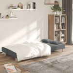 Dvivietė sofa-lova，Poilsio sofa su dvejomis pagalvėmis, pilka, audinys CFE62149