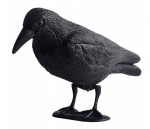 Pauk&scaron;čių baidyklė GardenGuard Raven, 35x22 cm
