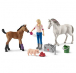 Figūrėlių rinkinys Veterinaro vizitas Schleich Farm World