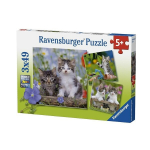 Dėlionė Ravensburger Kittens, 3x49 det.