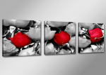 3 dalių paveikslas - Raudona rožė 150x50