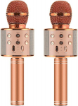 Karaokė mikrofonas-kolonėlė su balso keitimo efektais WS-858